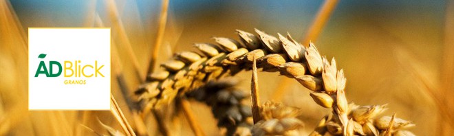 ADBlick Granos: Por qué nos consideramos una empresa de producción de cereales y oleaginosas a escala