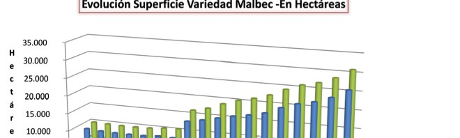 3 condiciones que convierten al Malbec en la variedad más exportada de Argentina