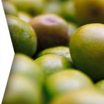 OLIVOS