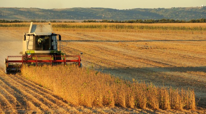 El agro argentino y su potencial a largo plazo