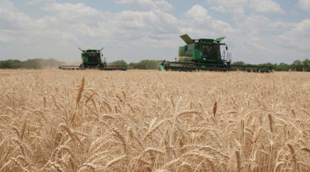 fideicomiso, agronegocios, ganaderia, argentina, economia, inversion, inflacion, carne, supermercados, ganaderia, campo, oportunidad,