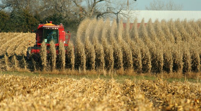 Argentina frente a una gran cosecha de granos y cereales