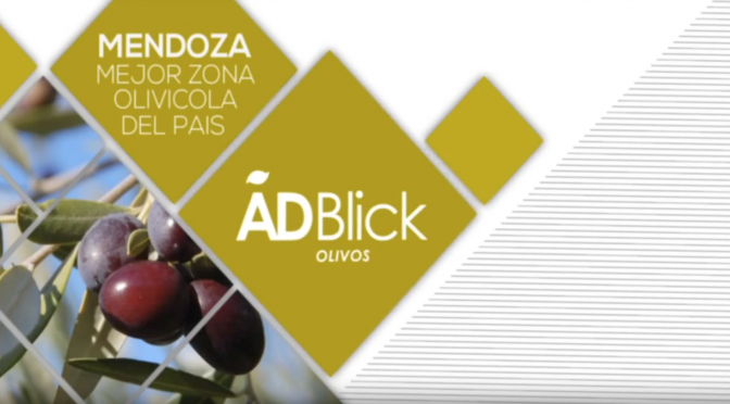 ADBlick Olivos 2017, una oportunidad de inversión