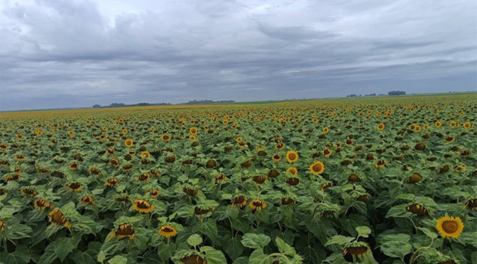 adblick agro